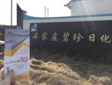 遛紙小分隊(duì)在石家莊宣傳沈陽(yáng)展會(huì) (33)
