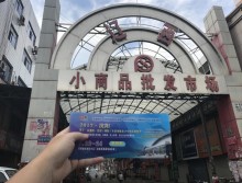 遛紙小分隊(duì)在沈陽(yáng)宣傳沈陽(yáng)展會(huì) (60)