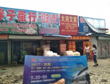 遛紙小分隊(duì)在遼寧本溪宣傳沈陽(yáng)展會(huì) (8)